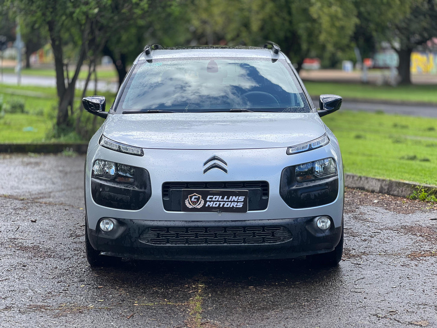 Citroen C4 cactus